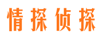 长岛外遇出轨调查取证